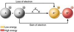 redox reactions redox reactions