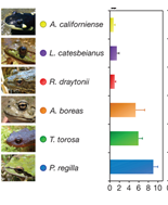 relative abundance relative abundance