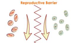 reproductive isolation reproductive isolation