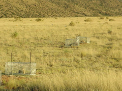 restoration ecology restoration ecology