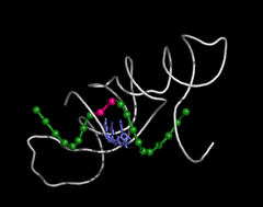 ribozymes ribozymes