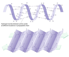 secondary structure secondary structure