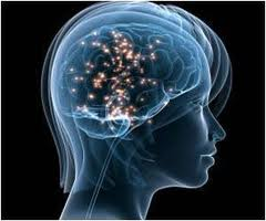 serotonin serotonin