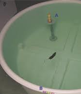 spatial learning spatial learning