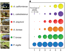species richness species richness