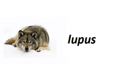 specific epithet specific epithet