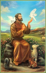 St.Francis of Assisi St.Francis of Assisi