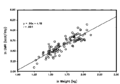 standard metabolic rate (SMR) standard metabolic rate (SMR)