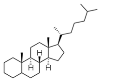 steroids steroids