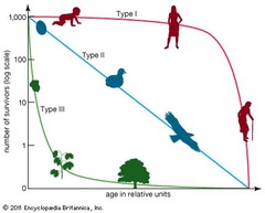 Survivorship curve Survivorship curve