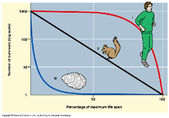 survivorship curves survivorship curves