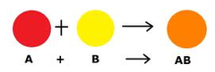 synthesis synthesis