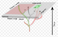 systematics systematics