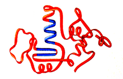 tertiary structure tertiary structure
