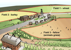Three-field system Three-field system
