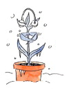 vernalization vernalization