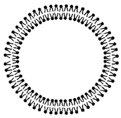 vesicle vesicle