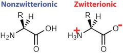 Zwitterions Zwitterions